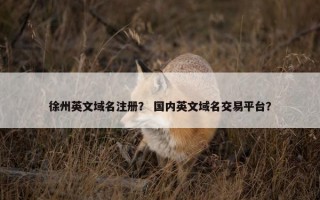 徐州英文域名注册？ 国内英文域名交易平台？