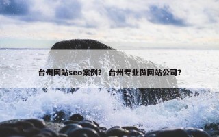 台州网站seo案例？ 台州专业做网站公司？