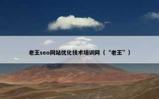 老王seo网站优化技术培训网（“老王”）