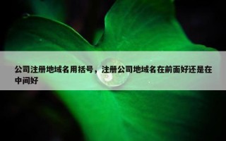 公司注册地域名用括号，注册公司地域名在前面好还是在中间好