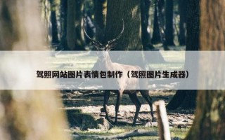 驾照网站图片表情包制作（驾照图片生成器）
