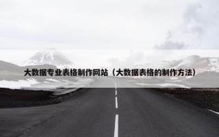 大数据专业表格制作网站（大数据表格的制作方法）