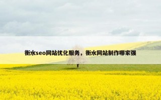 衡水seo网站优化服务，衡水网站制作哪家强