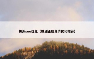 株洲seo优化（株洲正规竞价优化推荐）