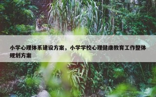小学心理体系建设方案，小学学校心理健康教育工作整体规划方案
