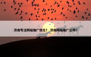 济南专注网站推广优化？ 济南网站推广公司？