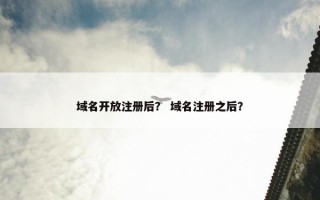 域名开放注册后？ 域名注册之后？