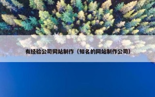 有经验公司网站制作（知名的网站制作公司）