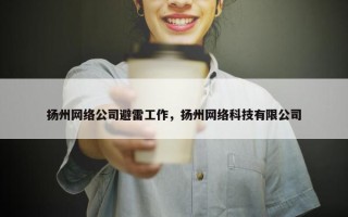 扬州网络公司避雷工作，扬州网络科技有限公司