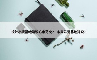校外小麦基地建设方案范文？ 小麦示范基地建设？
