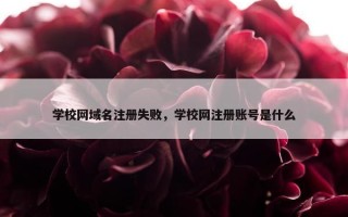 学校网域名注册失败，学校网注册账号是什么
