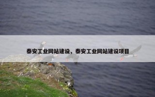 泰安工业网站建设，泰安工业网站建设项目