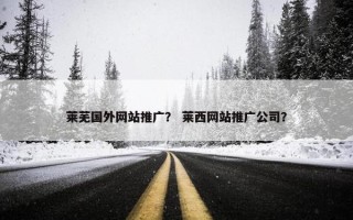 莱芜国外网站推广？ 莱西网站推广公司？