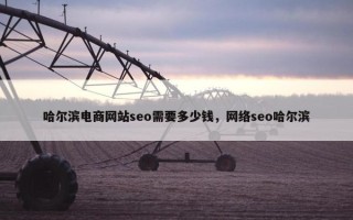 哈尔滨电商网站seo需要多少钱，网络seo哈尔滨
