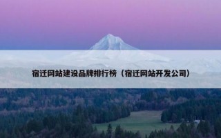 宿迁网站建设品牌排行榜（宿迁网站开发公司）