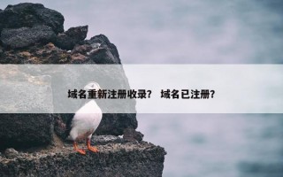域名重新注册收录？ 域名已注册？
