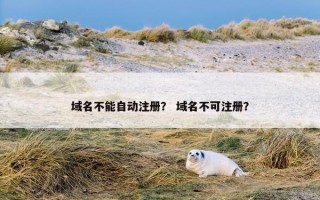 域名不能自动注册？ 域名不可注册？