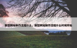 新型网站制作流程什么，新型网站制作流程什么时候开始