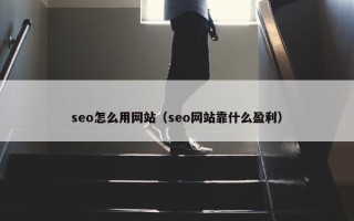 seo怎么用网站（seo网站靠什么盈利）