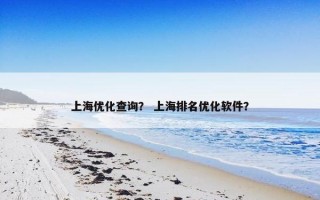 上海优化查询？ 上海排名优化软件？