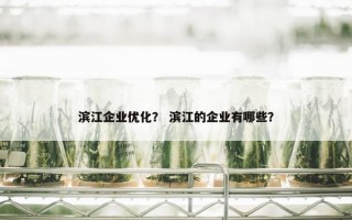 滨江企业优化？ 滨江的企业有哪些？