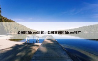 公司网站seo运营，公司营销网站seo推广