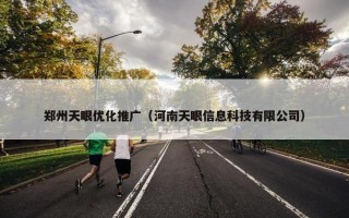 郑州天眼优化推广（河南天眼信息科技有限公司）