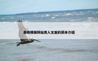 表格模板网站男人文案的简单介绍