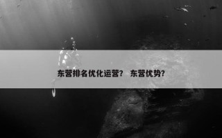 东营排名优化运营？ 东营优势？