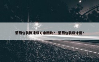 葡萄包装棚建设方案图片？ 葡萄包装设计图？