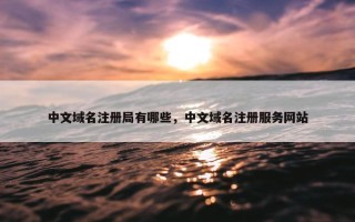 中文域名注册局有哪些，中文域名注册服务网站