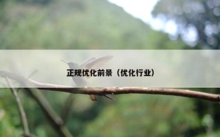 正规优化前景（优化行业）