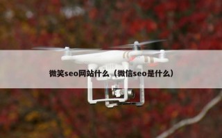 微笑seo网站什么（微信seo是什么）