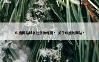 印度网站域名注册流程图？ 关于印度的网站？