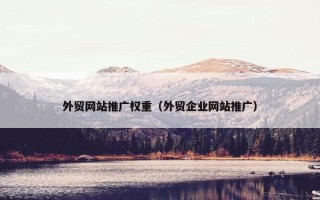 外贸网站推广权重（外贸企业网站推广）