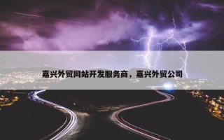 嘉兴外贸网站开发服务商，嘉兴外贸公司