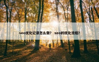seo优化记录怎么做？ seo的优化流程？