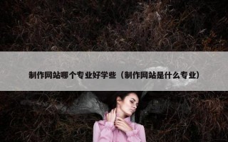 制作网站哪个专业好学些（制作网站是什么专业）