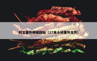 网文番外模板网站（27本小说番外文件）