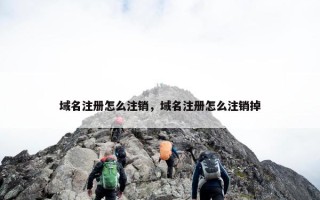 域名注册怎么注销，域名注册怎么注销掉