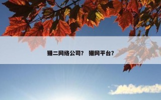 猎二网络公司？ 猎网平台？