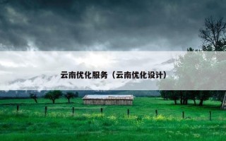 云南优化服务（云南优化设计）