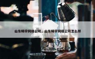 山东畅宇网络公司，山东畅宇网络公司怎么样