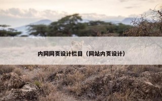 内网网页设计栏目（网站内页设计）