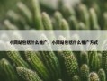 小网站包括什么推广，小网站包括什么推广方式