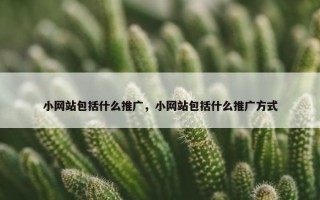 小网站包括什么推广，小网站包括什么推广方式