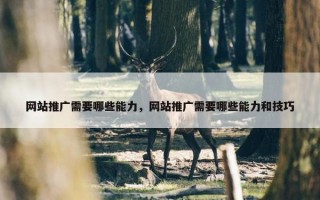 网站推广需要哪些能力，网站推广需要哪些能力和技巧