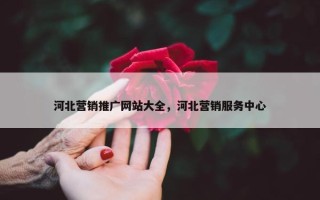 河北营销推广网站大全，河北营销服务中心