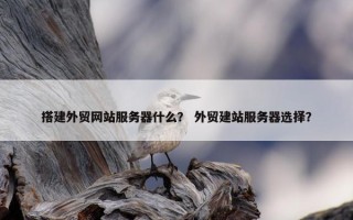搭建外贸网站服务器什么？ 外贸建站服务器选择？