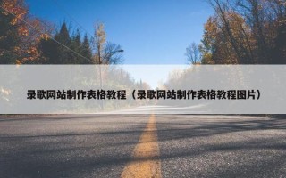 录歌网站制作表格教程（录歌网站制作表格教程图片）